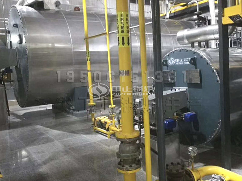 1噸燃氣供熱鍋爐除塵方式 有多少噸重？